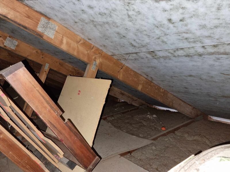 Loftrum med undertag kraftigt angrebet af skimmelsvamp og opbevarede materialer på loftsgulvet.