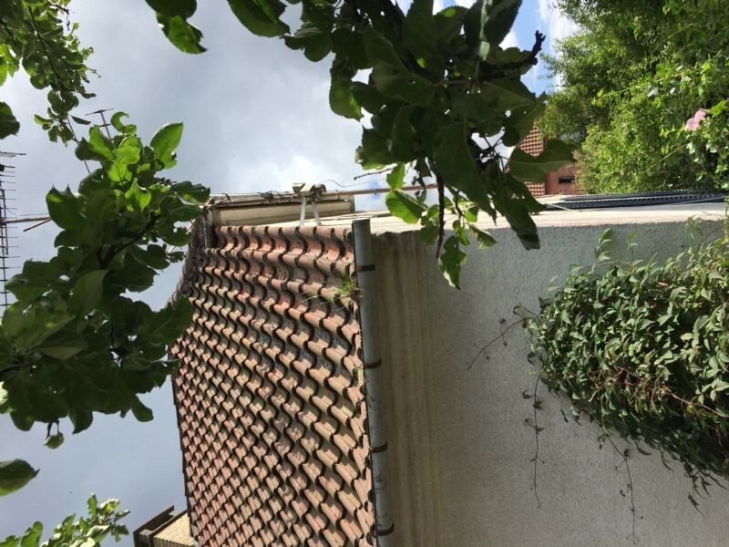 Nærbillede af tagkant med røde vingetegl og pudset gavl, fotograferet nedefra gennem grene.